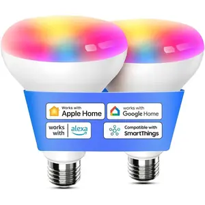 Smart Light Bulb, BR30 WiFi Flood LED Bulbs Support Apple Homekit, Siri, Alexa, Google, Full Color Changing RGBCW Dimmable 1300 Lumens 100W Equivalent, White, 2 Count (Pack of 1)