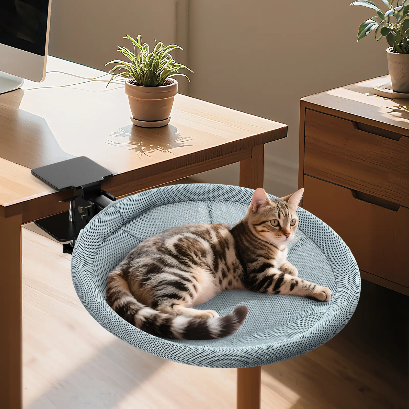 MIXJOY Foldable Cat Desk Bed – Space-Saving 90° Removable Washable Cover, Supports Up to 40lbs, Sturdy Cat Sleeping Bed for Large Cats,-Home  Office/Game Table