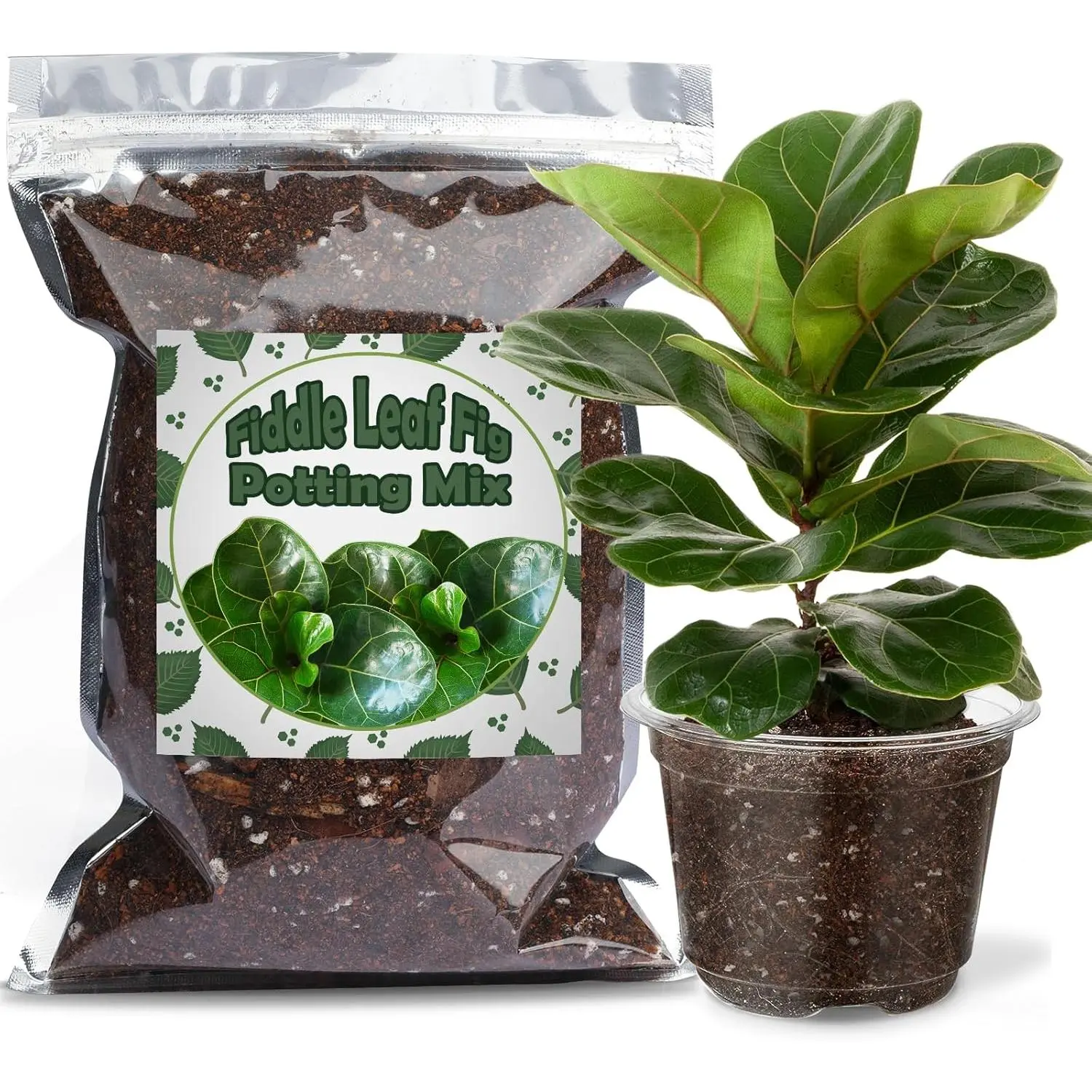 Fiddle Leaf Fig Potting Mix 1qt, Indoor  Potting Mix for All Potted Ficus Lyrata , Grow  houseplants Indoors