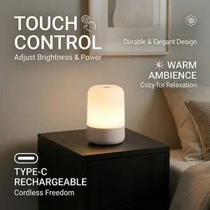 Bedroom Touch Light DY 3353630 Dimmable LED Rechargeable Battery Cordless Lamp for Bedroom Living Room Girls Room Kids Room Decoration Modern Touch Control USB Powered - Lighting Method Dimming Bedside