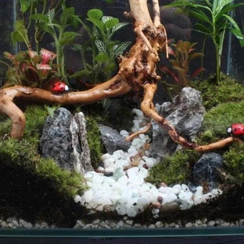 6p15-20 feet Halloween natural sunken wood azalea root dead wood trunk micro landscape creative reptile tank fish tank decoration aquarium decoration