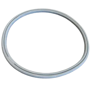 Hydropool Filter Cannister Gasket 4505189