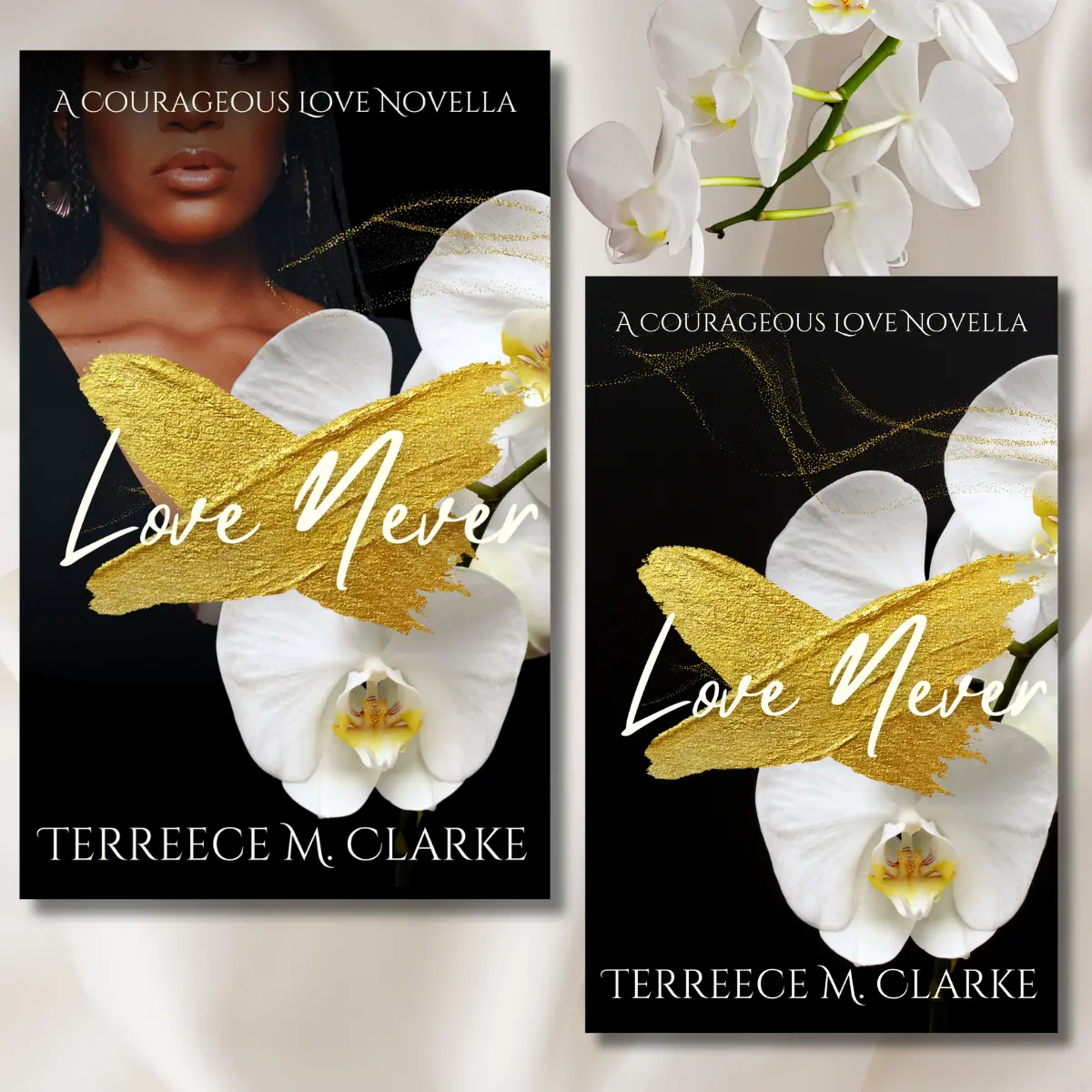 Author Signed Love Never, A Courageous Love Novella by Terreece M. Clarke a secret baby romance booknovella