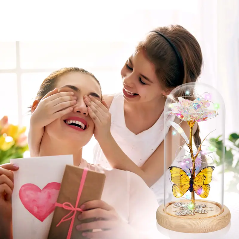 Product Introduction of DEEMEI Eternal Flower Light Up Galaxy Rose in Glass Dome with Butterfly Christmas Day Gifts Idea for Women Mom Grandma Girlfriend Birthday Teen Girl 7