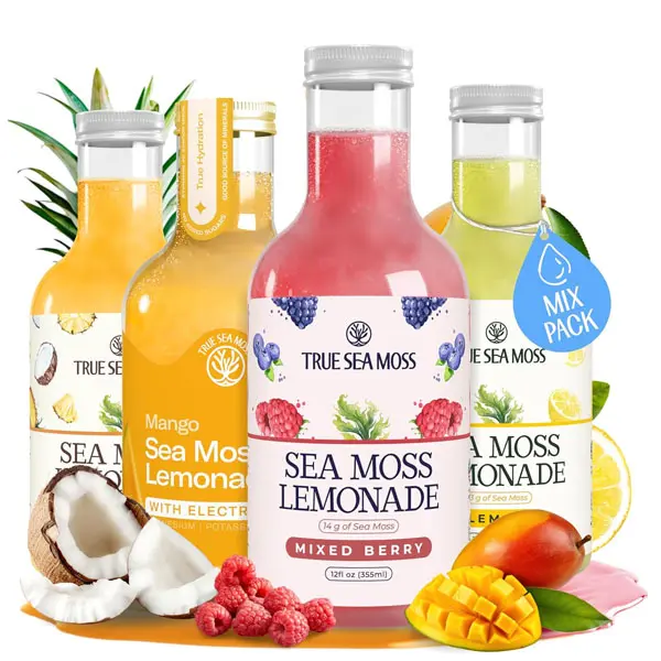 True Sea Moss Lemonade Variety Pack - 4-Flavor Sampler (Lemon, Mango with Electrolyte, Berry, Pina Colada) - Organic Vegan Hydration Drink for All Ages - 4 x 12 fl oz Bottles