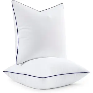 24x24 Euro Pillow Inserts,  Down Alternative Filling Pack of 2 Ultra Soft Throw Pillows for Bed Sofa Couch
