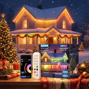 MIMIRGB Smart RGB Permanent Outdoor Lights C5103-C with Controller & Infrared Remote Includes 36 Clips Mounting Screws and Manual RGB Eaves Lights Garden Lamp for Patio Ambiance Christmas Decorations RGBIC IP67 Eave Lights with Alexa Waterproof