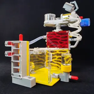 1PC DIY Ant Nest Villa with Feeding Area Acrylic Insect Cage for House Ants Farm Pet Mania Insect Anthills Ant Enclosure