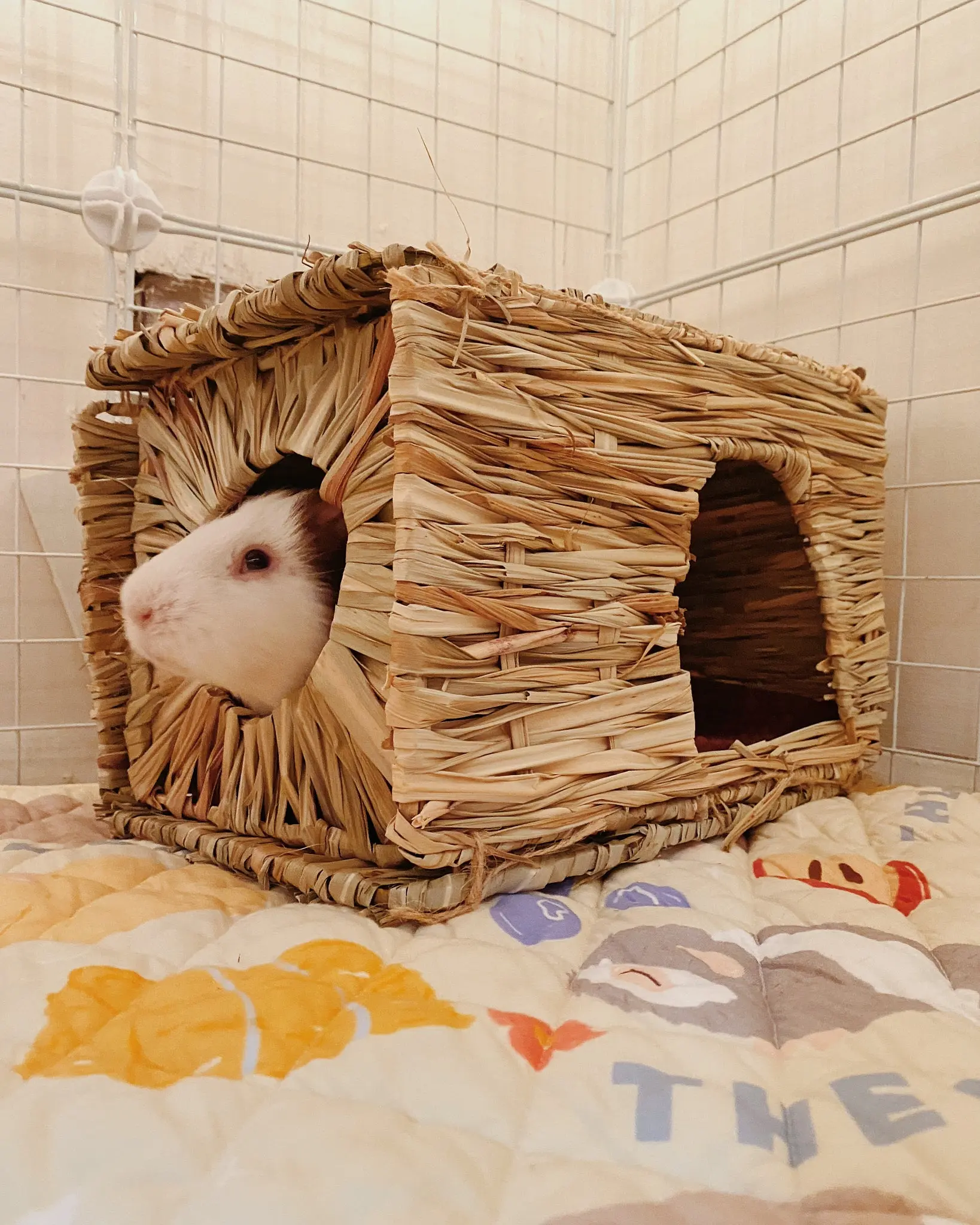 Hay Houses
