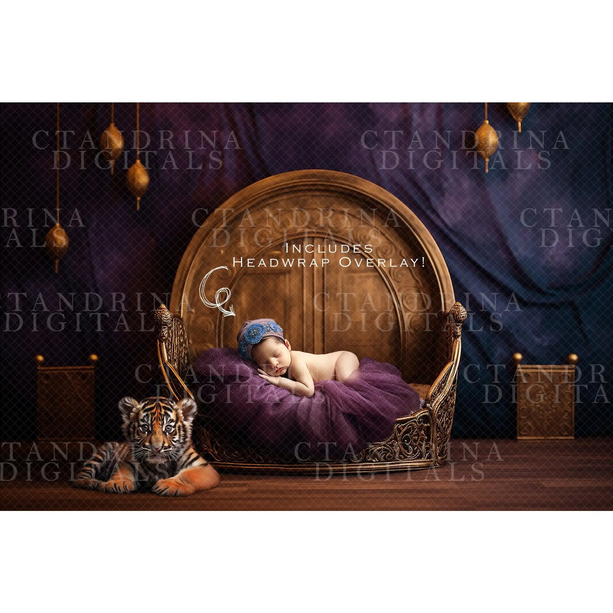 Arabian Princess Newborn Digital Backdrop with Turban Overlay