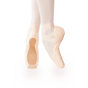 Gaynor Minden Europa Sculpted Fit Pointe Shoe ExtraFlex Shank Deep Vamp High Heel