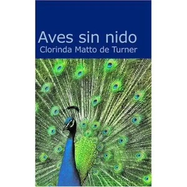 USED-Aves Sin Nido by Turner, Clorinda Matto De (Paperback)