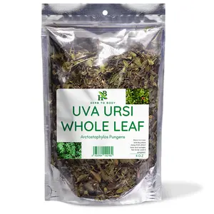 Herb To Body Uva Ursi Whole Leaf | Natural Urinary Antiseptic | 4oz