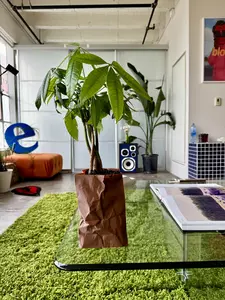 Brown Paper Bag Planter Vase