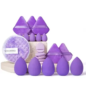 21-Piece Makeup Tool Set, Sponge Puffs, Foundation, Concealer, Blush, Triangle Puff, Cleansing & Removing Powder, Beauty Egg Kit, Facial Makeup Tool
