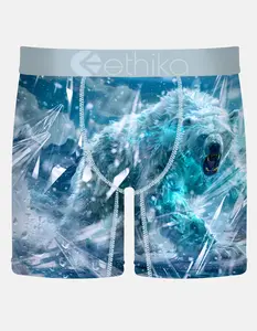 ETHIKA Polar Mid Mens Boxer Briefs