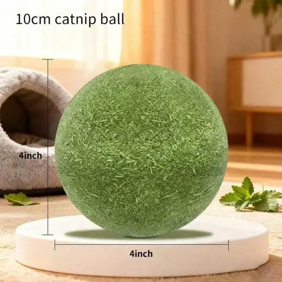 Self soothing molars large 4inch catnip balls for cats durable chew toys with gall balls natural catnip filled fun playtime for adult cats
