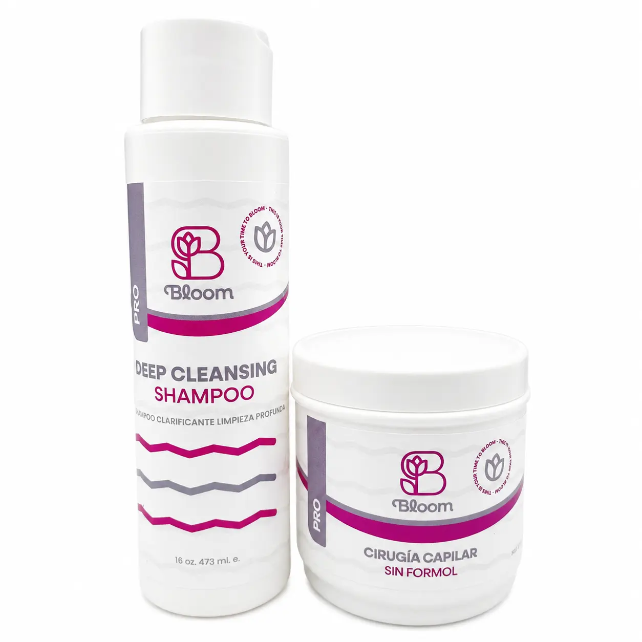 BLOOM 2 STEP HAIR TREATMENT KIT 16 OZ MOISTURIZING SMOOTHING SYSTEM