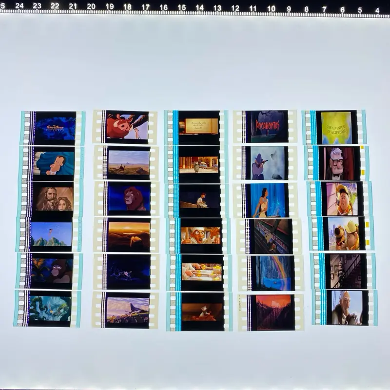 FILM BUNDLE 35mm Film Cell Collection Bundle (30) single individual cells UP Lion Poc Tar Rat