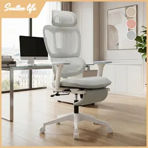 Ergonomic Office Chair with Foot Rest/Wheels, Double Backed Desk Chairs, 2D Headrest, 1D Armrest, Sponge Cushion, 360° Swivel Work Chair,  Height Adjustable, Home Office Computer Chairs