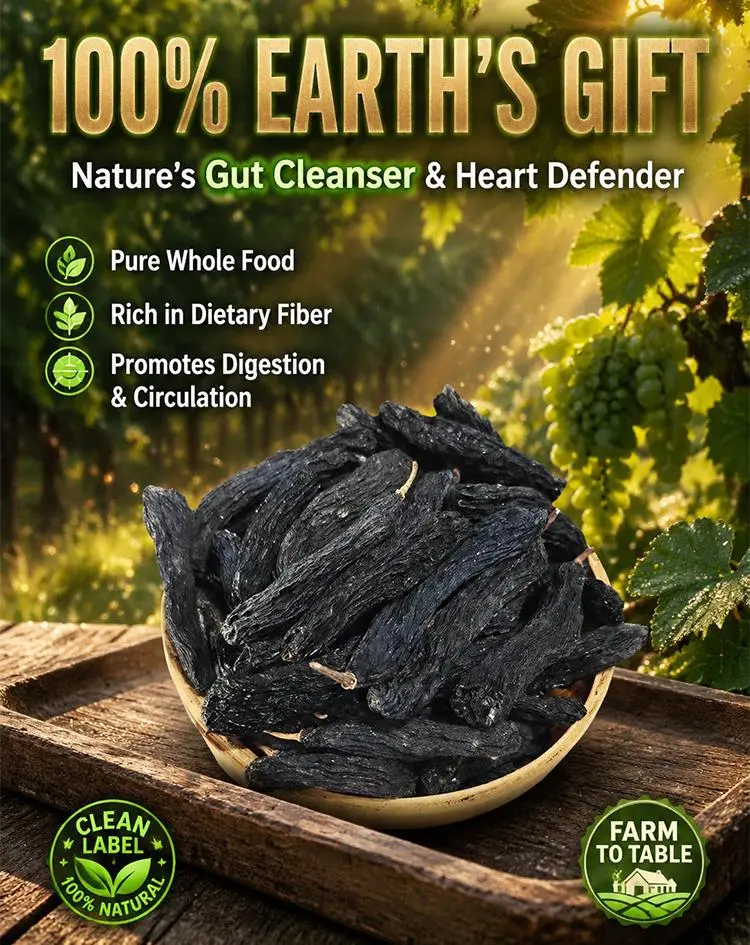 XI Premium Seedless Sapphire Raisins | 100% Natural Sweet & Chewy Snacks
