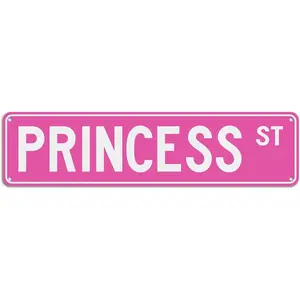 Pink Princess ST Vintage Metal Street Sign 16x4 Inch, Aluminum Wall Decor for Girls Cave Bedroom Dorm Fall Decor For Home