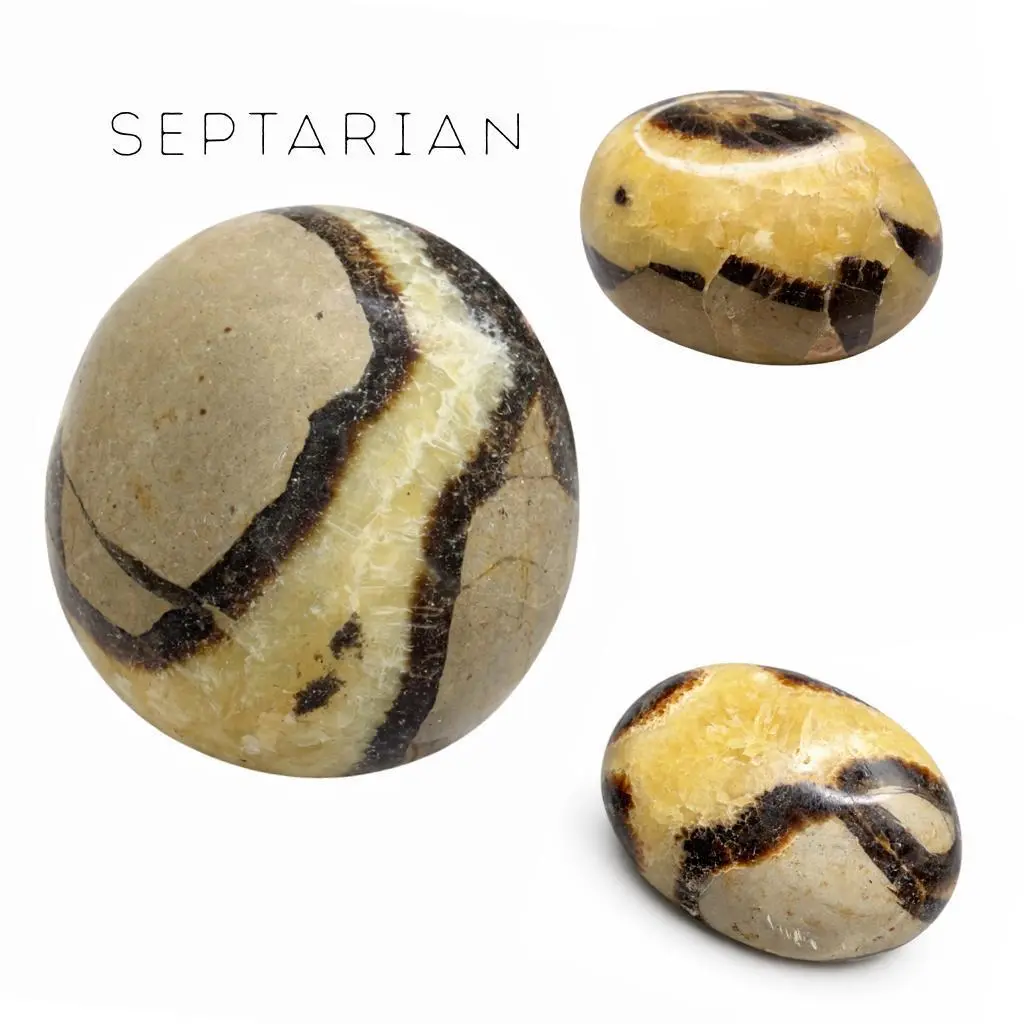 Septarian Palm Stone - Natural Septarian - Polished Septarian Palm
