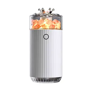 Mini DIY Eternal Flower Humidifier Car Aroma Diffuser Portable Air Purifier for Home Daily Use