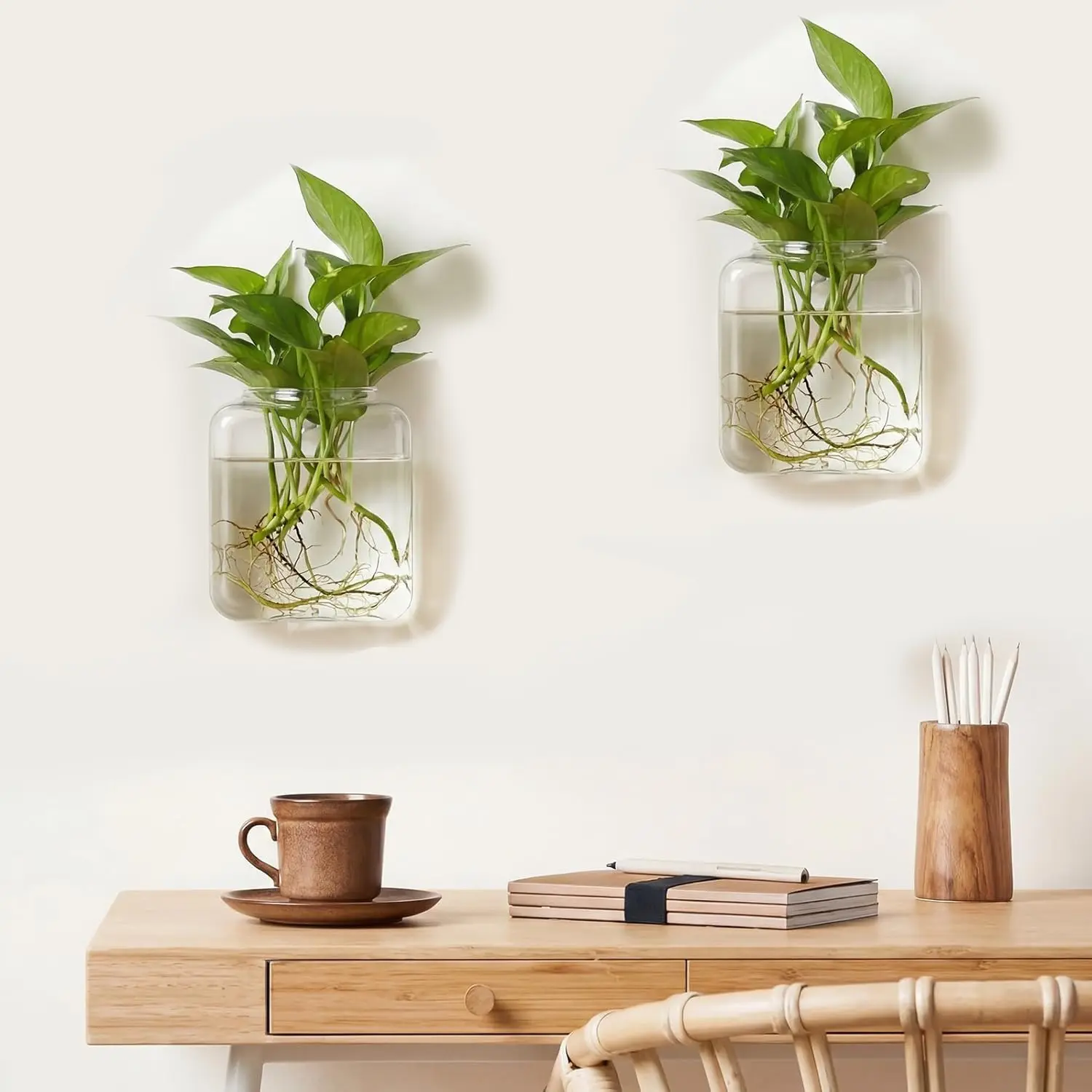 2 Pcs Wall Hanging Glass Wall Hanging Planter Propagation Station  Terrariums Clear Glass Vase Container for Hydroponic Plant Home Office  Living Room Bathroom Garden Decor _ Patio, Lawn & Garden - TikTok Shop