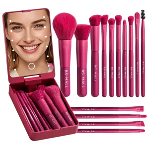 BS-MALL 14PCS LED Lighted Mirror Makeup Brushes Set Portable Travel Face Make up Brushes with LED Mirror Case