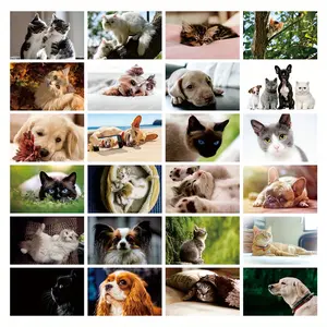24 Cute Cat & Dog Postcards 300gsm Premium Cardstock 4x6 Inch Postcard Set | Adorable Pet Art for Animal Lovers, Nursery Decor & Greeting Cards