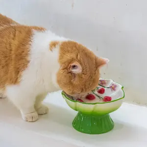 Ceramic Strawberry Slow Feed Bowl with High Feet Design, Anti-Gag and Anti-Spill Cat Bowl, Neck Support for Cats and Kittens