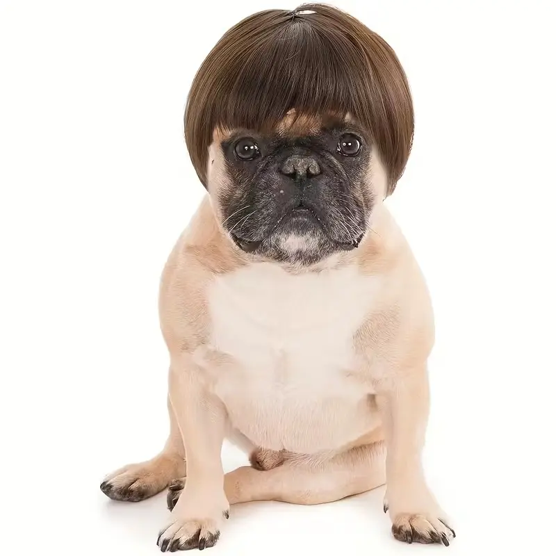 Multifunctional Personalized Short Bob Pet Wig, Perfect for Halloween Thanksgiving Festivals Costumes, Feather Design Optional