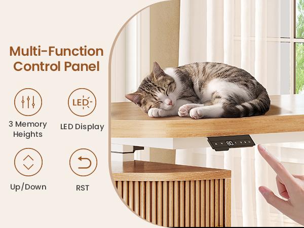 SEDETA 57 Inch L Shaped Standing Desk with Storage Electric Height Adjustable Curved Executive Desk Fluted Desk with Drawers & Power Strip for Home Office