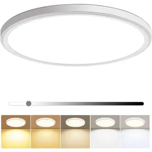 12 Inch Dimmable LED Flush Mount Ceiling Light Fixture 28W 3200LM 5 Color Temperature in One Super Slim Round Ceiling Lamp Low Profile Ceiling Lights for Living Bedroom Kitchen Laundry White