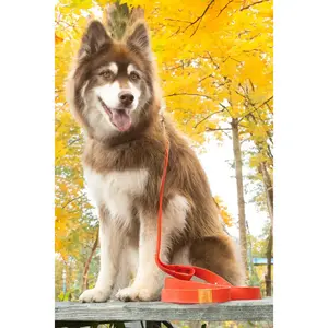 Scarlet Peaks Waterproof Leash - Durable Design for Outdoor Use