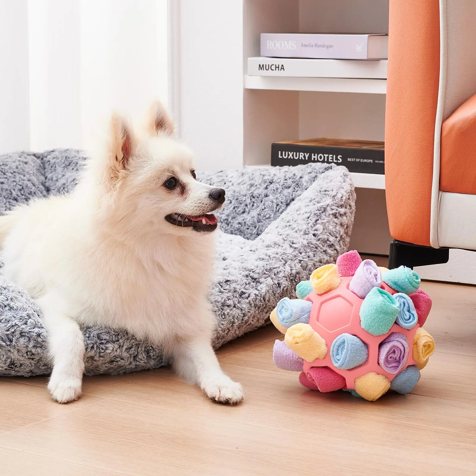 Portable Colorful Pet Ball Toy, Dog Sniffing Ball Toy, Pet Supplies Interactive Toy for Cats Dogs