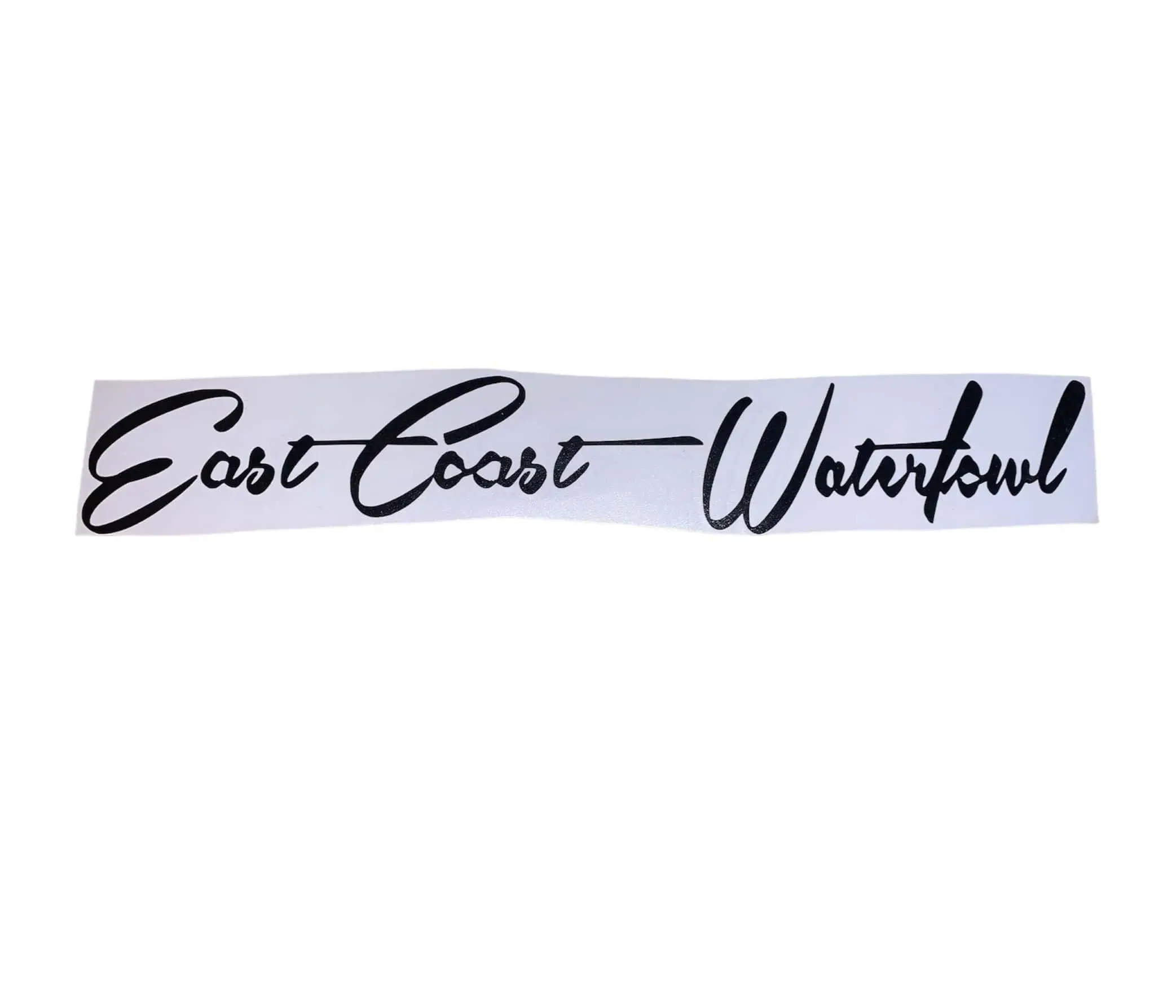 8" ECW Script Decal