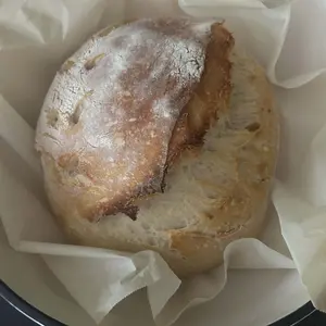 Eve - The Southern Sourdough Co. Organic Dehydrated Sourdough Starter for Sourdough Bread Baking Beginner Friendly Very Robust and Active Bake Within 5 Days