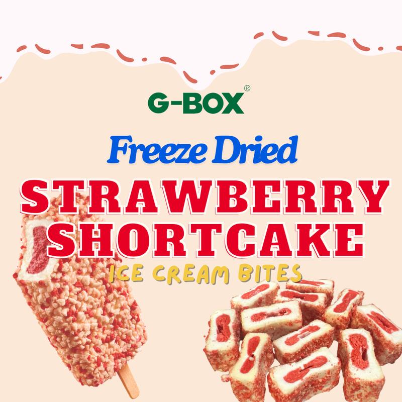 G-BOX Freeze Dried Ice Cream | Crunch Strawberry Shortcake Ice Cream Bites - Chocolate Eclair Ice Cream Bites - Perfect for Camping, Outdoor, and Party - Air-tight Sealed in a Deli Container