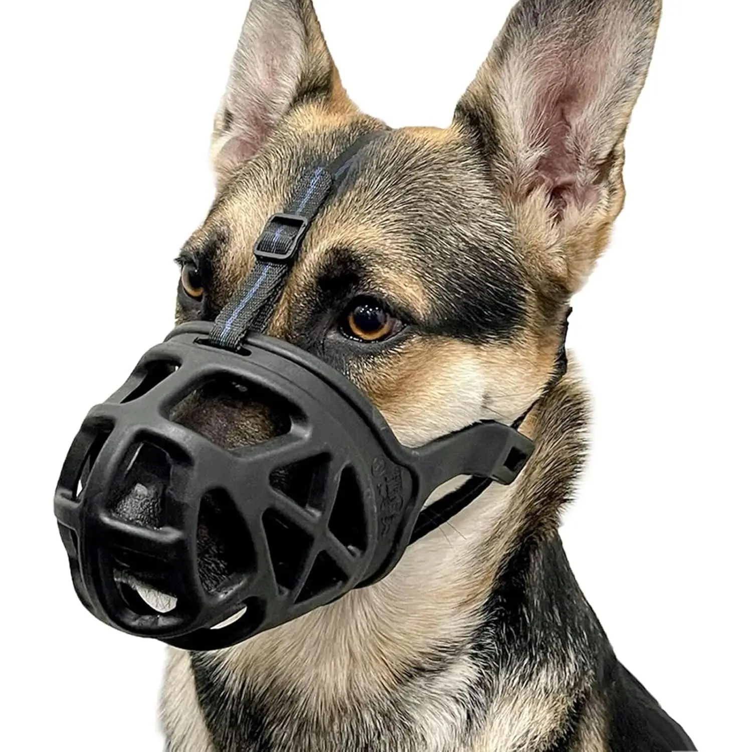 Dog Muzzle, Basket Muzzle for Biting, Chewing and Scavenging, Humane Cage Mouth Cover, Perfect for Grooming and Training Medium Aggressive Reactive Dogs (M, Black)