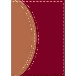 USED-Zondervan NIV Compact Study Bible, Burgundy/Tan by Zondervan (Unknown)