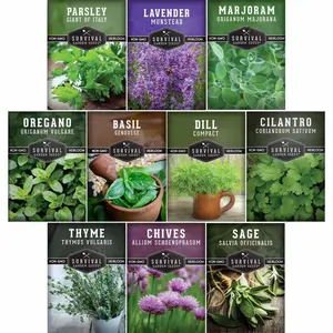10 Herb Seeds Variety Pack – Heirloom Non-GMO Culinary Herbs for Indoor or Outdoor Kitchen Gardens