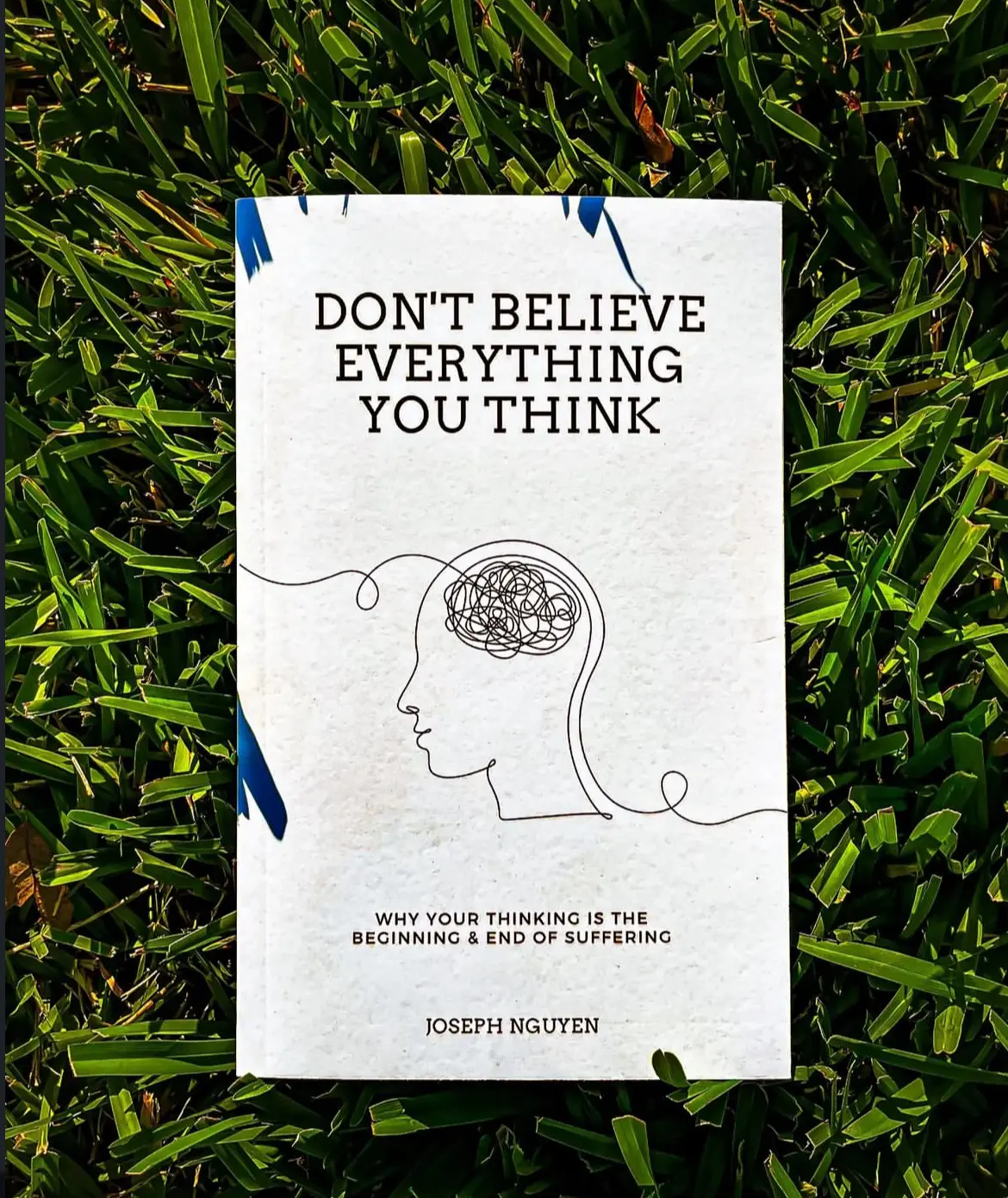 Don't Believe Everything You Think: English Mental Health Book - Addresses Negative Thought Habits, Offers Critical Insight, Serves as Empowerment Tool for Mental Well-Being (Humanities & Social Sciences, Career & Self-Help)
