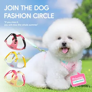 Cute Small Dog Harness Leash Set, Escape-Proof Dog Leash for Medium Small Dogs, Cat Walking Harness with Chest Strap