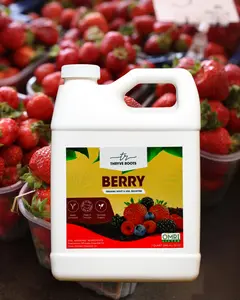 Thyrve Roots - Berry - Organic Soil Amendment