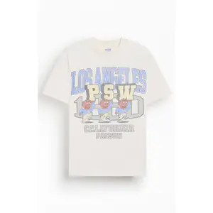 Pacsun Men's Varsity Bear T-Shirt - Multicolor