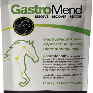SynNutra GastroMend Gastrointestinal Health Supplement for Horses, 100% Natural, Promotes Stomach and Gut Health in Equines, 30 Day Supply