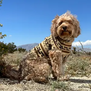 Pendleton Knitted Dog Sweater
