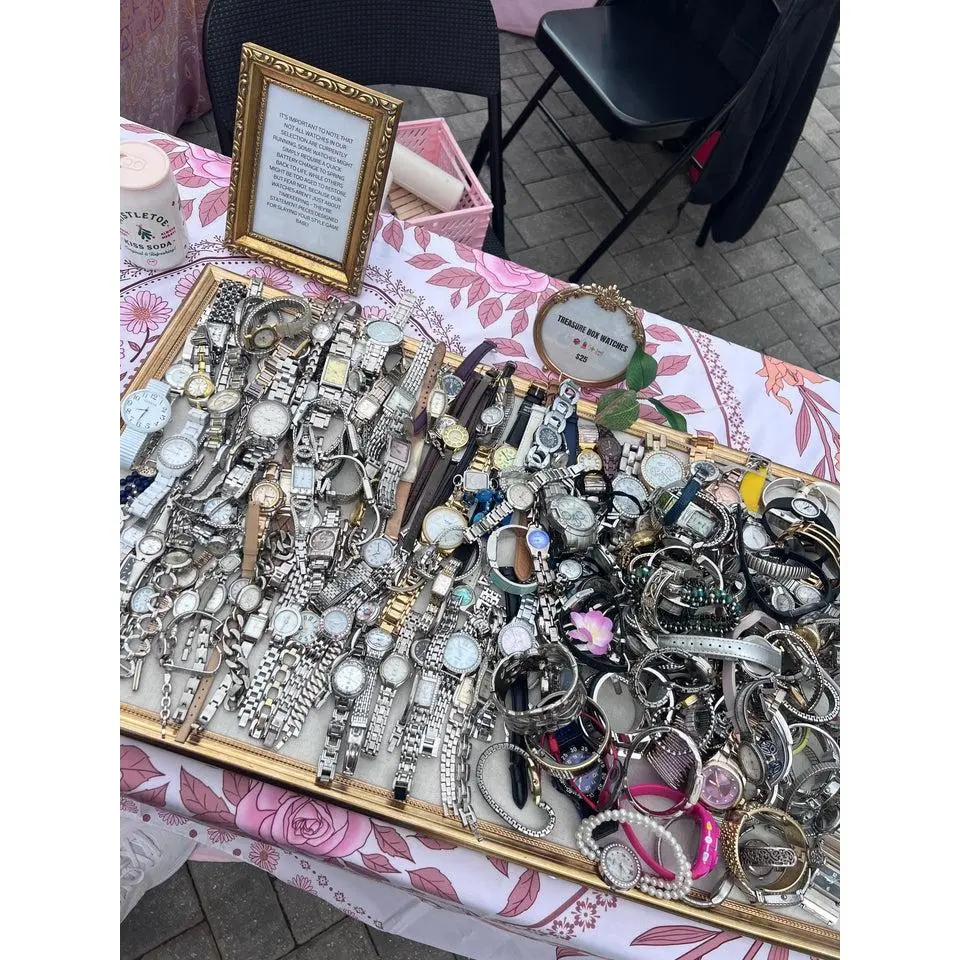 Mystery Treasure Watch Mystery Treasure Watch